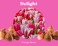 Delight Tulip Bulb Mix - PRE-ORDER