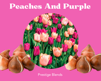 Peaches And Purple Tulip Bulb Mix - PRE-ORDER