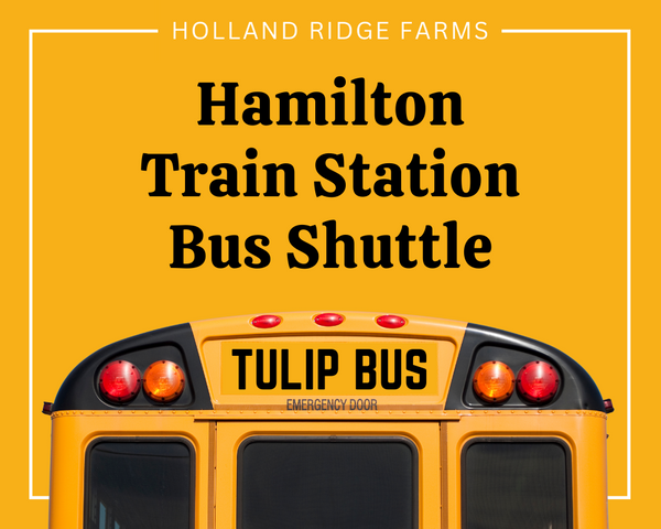 Hamilton Train Station Bus Shuttle