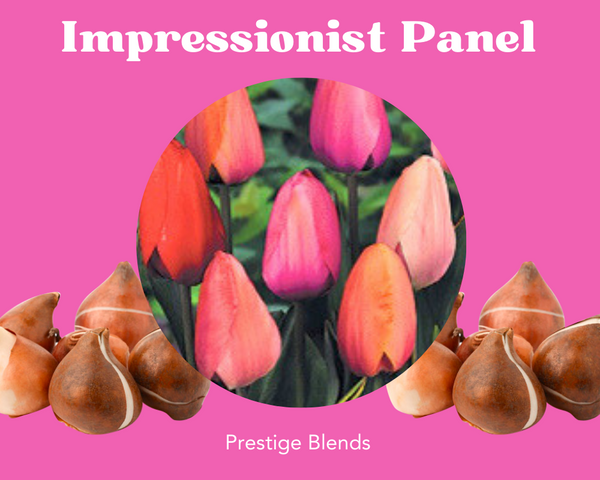 Mezcla de bulbos de tulipán pastel impresionista - PRE-ORDEN